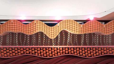 Multifunction 8 in 1 Slimming Beauty Device