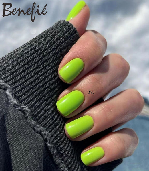 BB Gel Color N-5 Plus Collection Complete Set